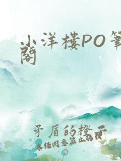 小洋楼PO笔趣阁