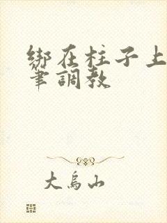 绑在柱子上用毛笔调教