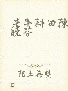 老牛耕田陈雪杨晓芬