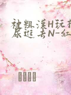 被粗汉H玩松了尿进去N-红-Q