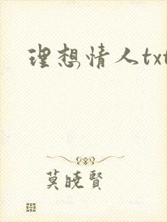 理想情人txt
