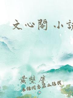 文心阁 小说