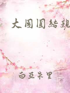 大团圆结亲情会