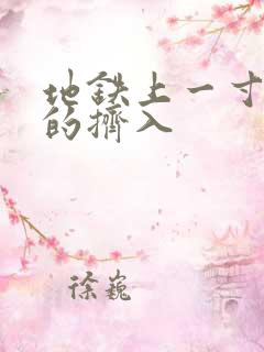 地铁上一寸一寸的挤入