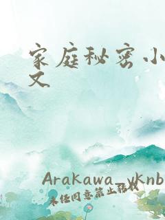 家庭秘密小说全文