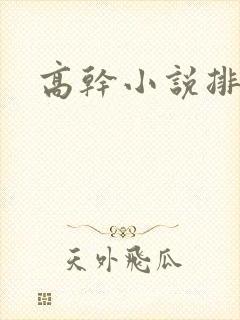 高干小说排行榜