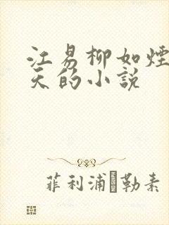 江易柳如烟秦少天的小说