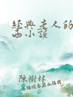 经典老人的大东西小说