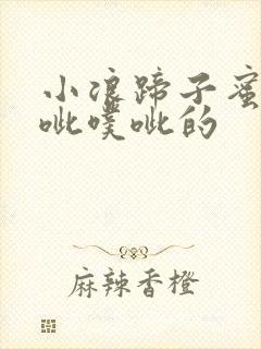 小浪蹄子蜜水噗呲噗呲的