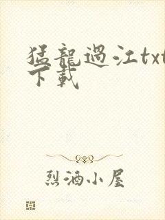 猛龙过江txt下载