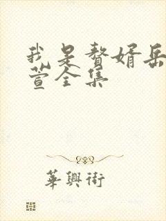 我是赘婿岳风柳萱全集