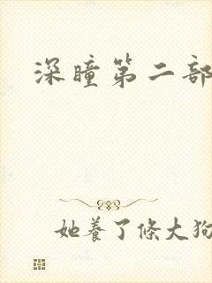 深瞳第二部