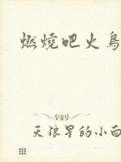 燃烧吧火鸟小说