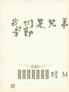 我们是兄弟最新章节