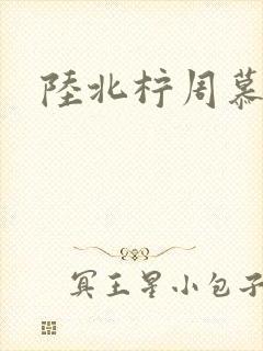 陆北柠周慕深