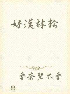 好汉林松