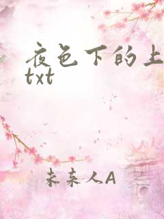 夜色下的上海滩txt