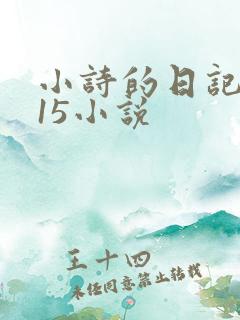 小诗的日记1一15小说
