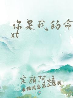 你是我的命运txt