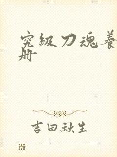 究级刀魂养成手册