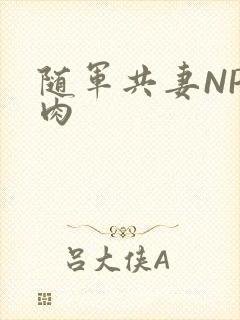 随军共妻NP纯肉