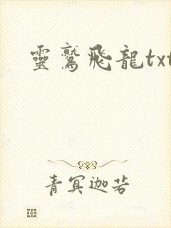 灵鹫飞龙txt