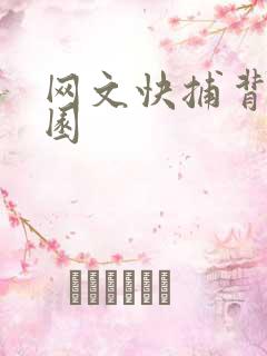 网文快捕背影家园