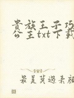 贵族王子巧遇穷公主txt下载