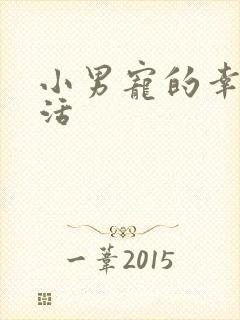 小男宠的幸福生活