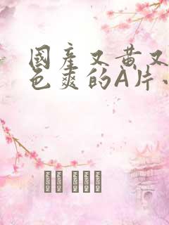 国产又黄又大又色爽的A片小说