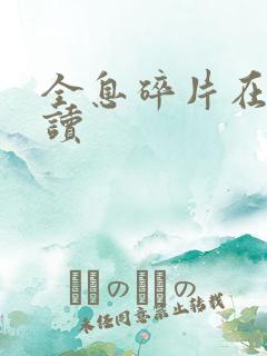 全息碎片在线阅读