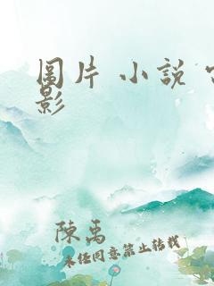 图片 小说 电影