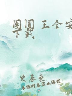 团圆 王全安 下载