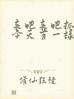 来吧来吧抓紧点今天有一样好东西