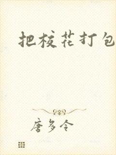 把校花打包带走