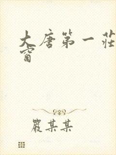 大唐第一庄无弹窗