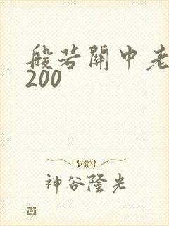 般若关中老人5200