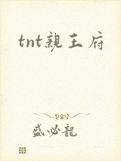 tnt亲王府