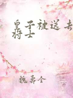 皇子被送去犒劳将士