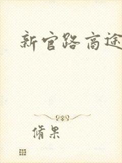 新官路商途