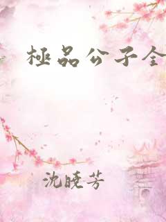极品公子全集