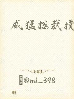 威猛总裁扑娇妻