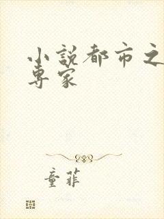 小说都市之军火专家