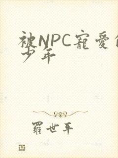 被NPC宠爱的少年