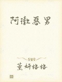 阿彻恶男