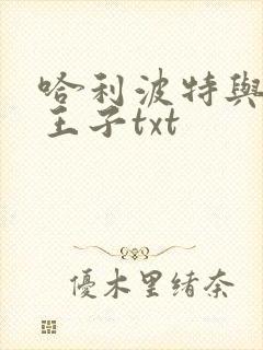 哈利波特与混血王子txt