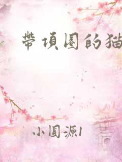 带项圈的猫耳娘