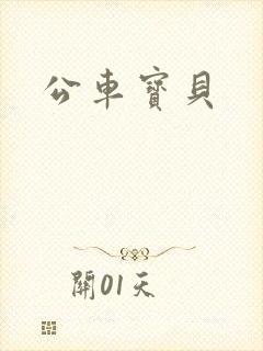 公车宝贝