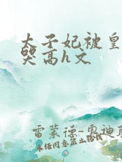 太子妃被皇上c哭高h文