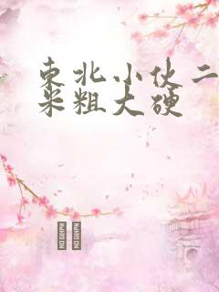 东北小伙二十厘米粗大硬